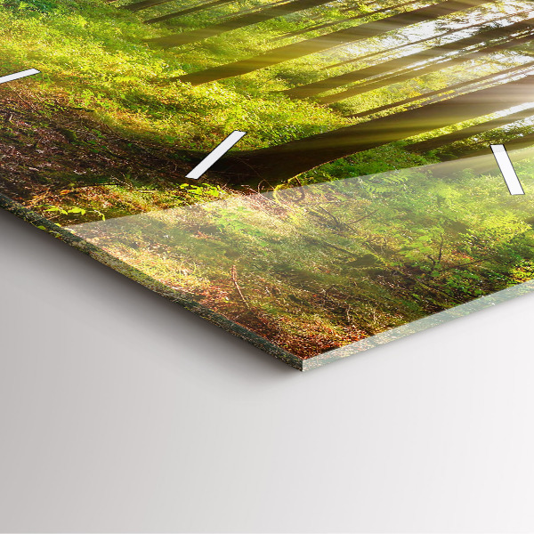 Orologio quadrato in vetro Alba nella foresta