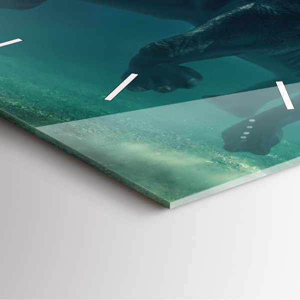 Orologio quadrato in vetro Elefante che nuota nell'oceano