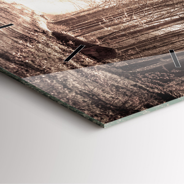 Orologio quadrato Sentiero forestale in seppia