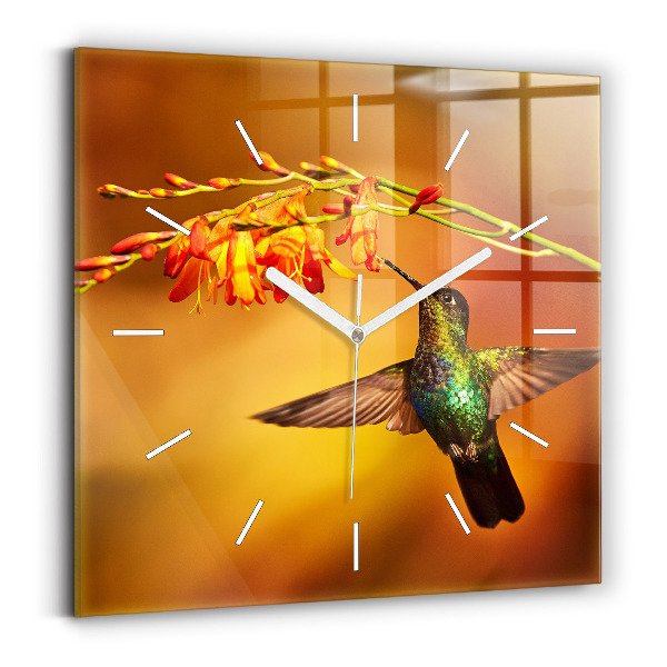 Orologio quadrato Uccello colibrì