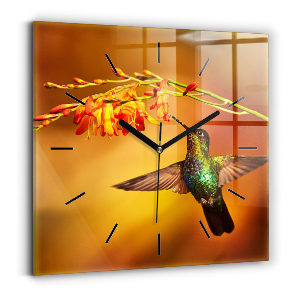 Orologio quadrato Uccello colibrì