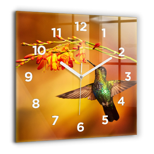 Orologio quadrato Uccello colibrì