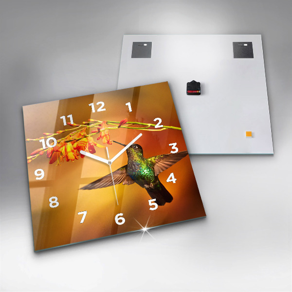 Orologio quadrato Uccello colibrì
