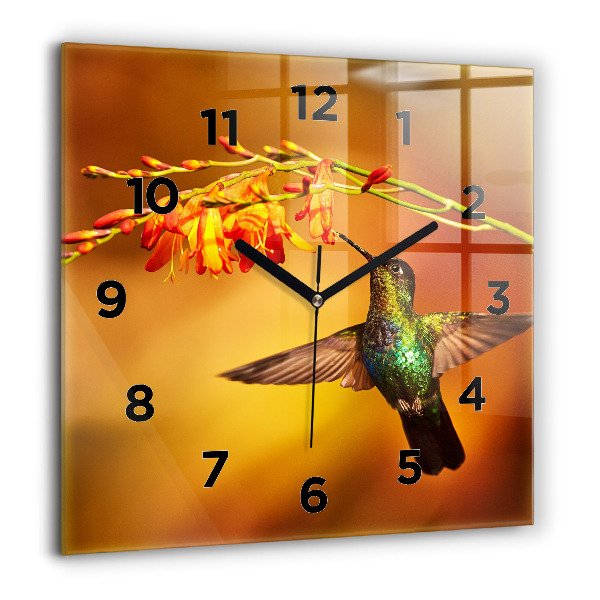 Orologio quadrato Uccello colibrì