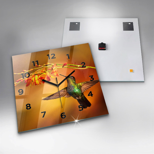 Orologio quadrato Uccello colibrì