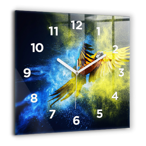 Orologio quadrato Pappagallo colorato
