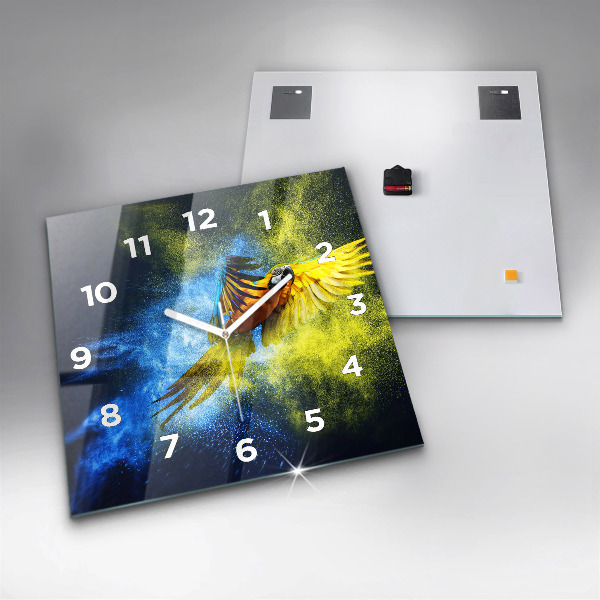 Orologio quadrato Pappagallo colorato