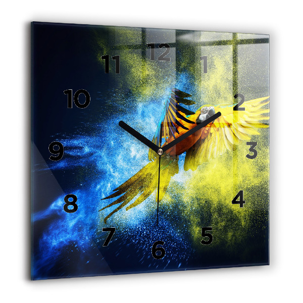 Orologio quadrato Pappagallo colorato