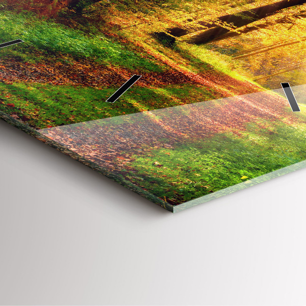 Orologio quadrato in vetro Paesaggio autunnale della foresta