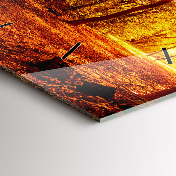 Orologio quadrato in vetro Paesaggio forestale al sole