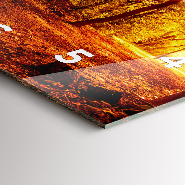 Orologio quadrato in vetro Paesaggio forestale al sole