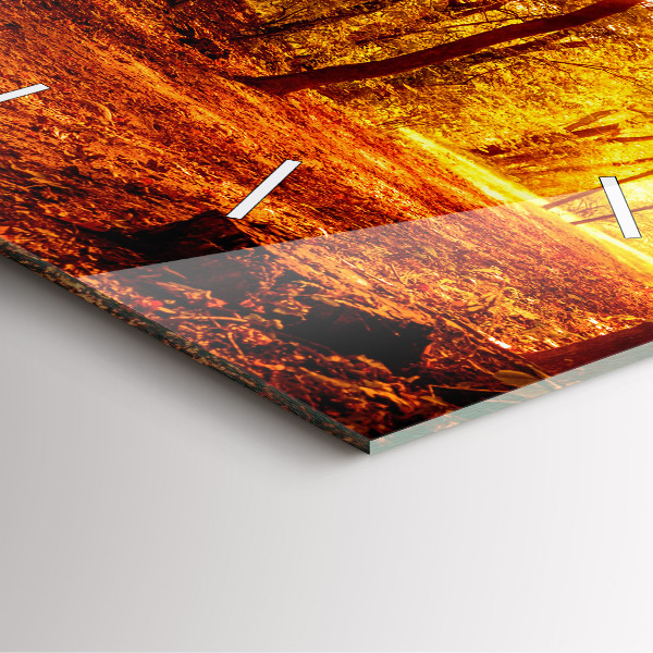 Orologio quadrato in vetro Paesaggio forestale al sole