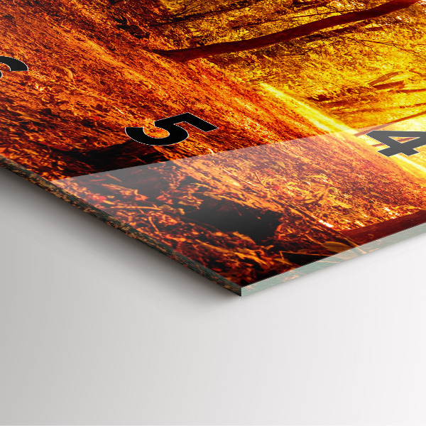 Orologio quadrato in vetro Paesaggio forestale al sole