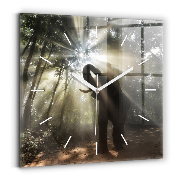 Orologio quadrato in vetro Elefante nella giungla
