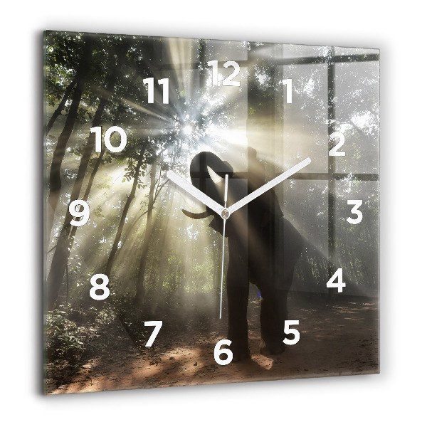Orologio quadrato in vetro Elefante nella giungla