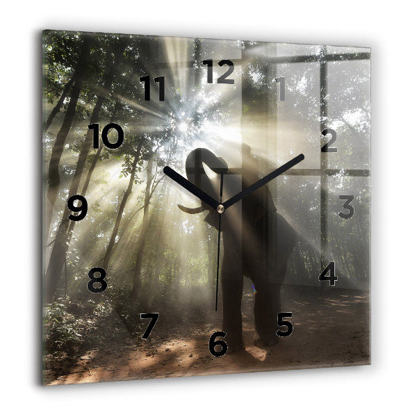 Orologio quadrato in vetro Elefante nella giungla