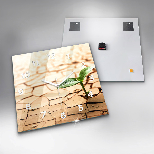 Orologio quadrato Piantare in terreno asciutto