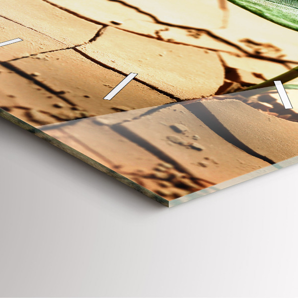 Orologio quadrato Piantare in terreno asciutto