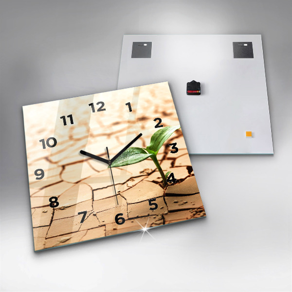 Orologio quadrato Piantare in terreno asciutto