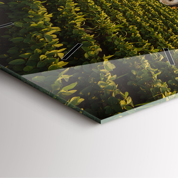 Orologio quadrato Trattore in un campo agricolo