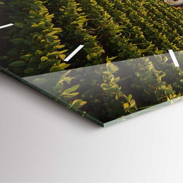 Orologio quadrato Trattore in un campo agricolo