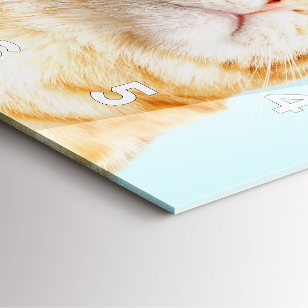 Orologio quadrato in vetro Gatto divertente con gli occhiali