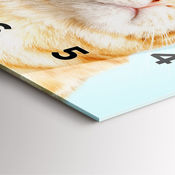 Orologio quadrato in vetro Gatto divertente con gli occhiali