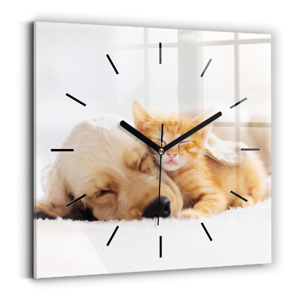 Orologio quadrato in vetro Gatto e cane addormentati
