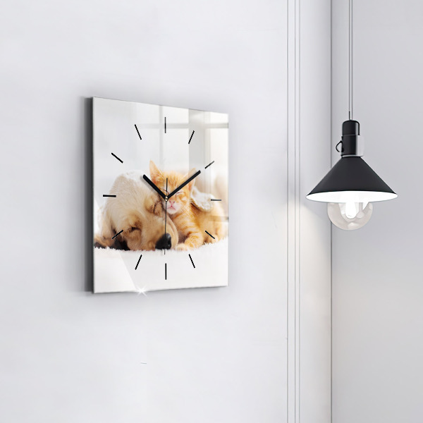Orologio quadrato in vetro Gatto e cane addormentati
