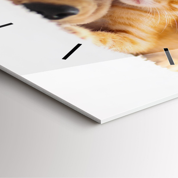 Orologio quadrato in vetro Gatto e cane addormentati