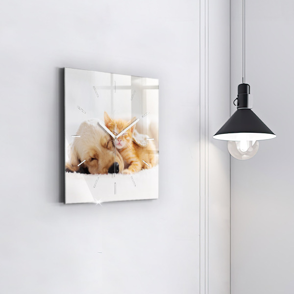 Orologio quadrato in vetro Gatto e cane addormentati