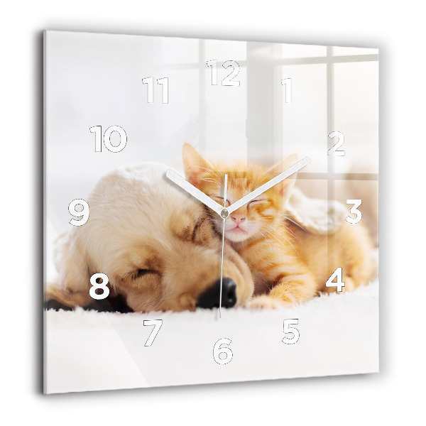 Orologio quadrato in vetro Gatto e cane addormentati