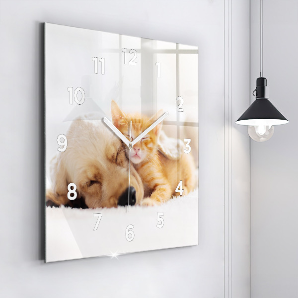 Orologio quadrato in vetro Gatto e cane addormentati