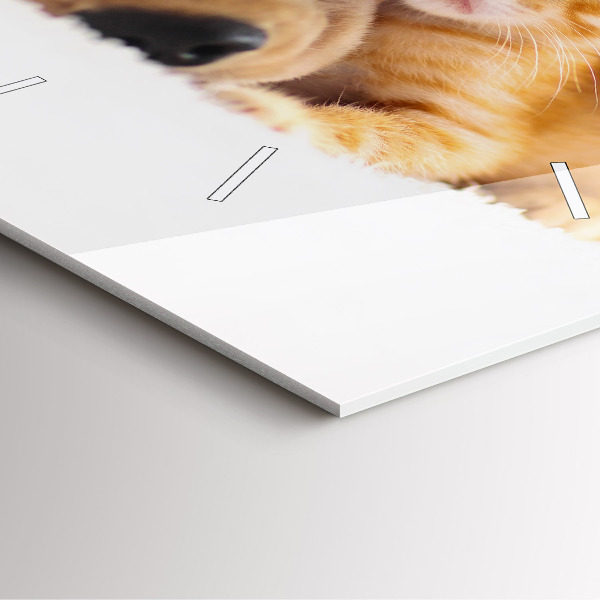 Orologio quadrato in vetro Gatto e cane addormentati