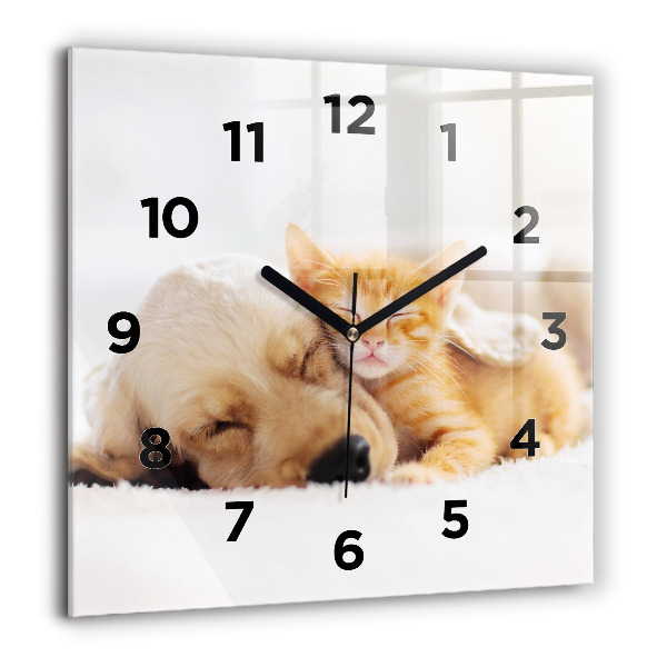 Orologio quadrato in vetro Gatto e cane addormentati