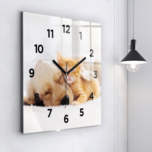 Orologio quadrato in vetro Gatto e cane addormentati