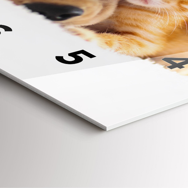 Orologio quadrato in vetro Gatto e cane addormentati