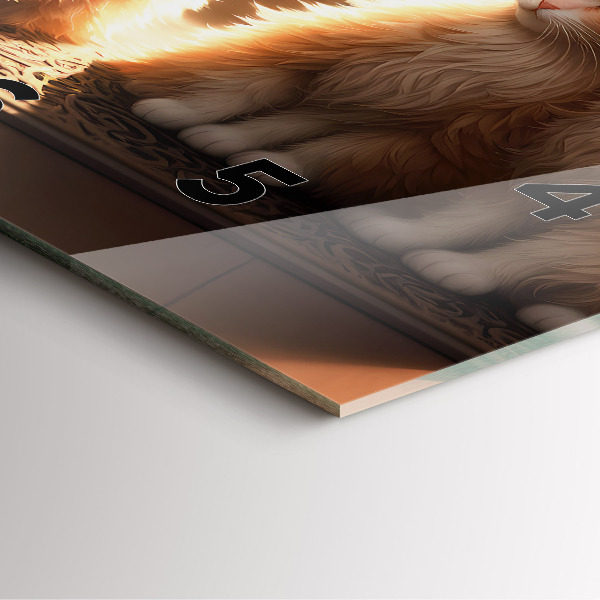 Orologio quadrato Quattro gattini al sole