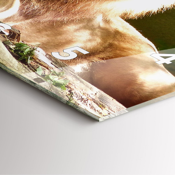 Orologio quadrato Ritratto di un leone