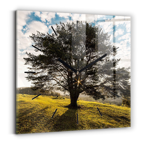 Orologio quadrato Un albero su una collina
