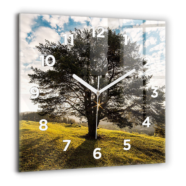 Orologio quadrato Un albero su una collina