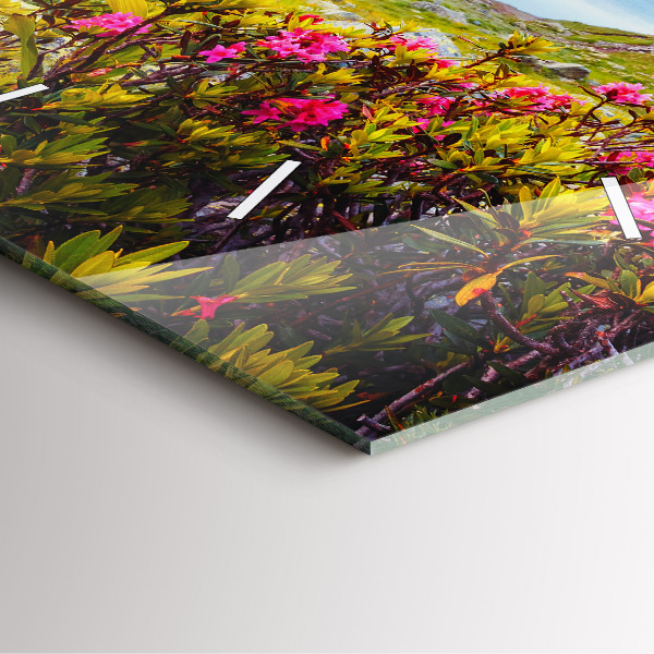 Orologio quadrato in vetro Ghiacciaio del Monte Bianco Chamonix