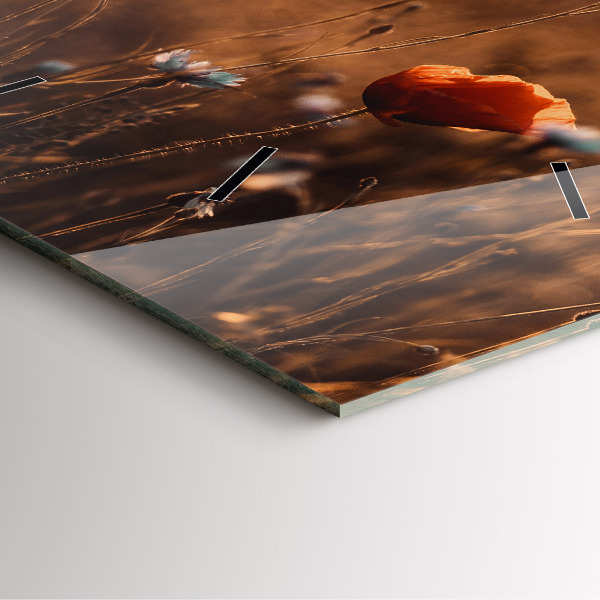 Orologio quadrato Alba sul campo