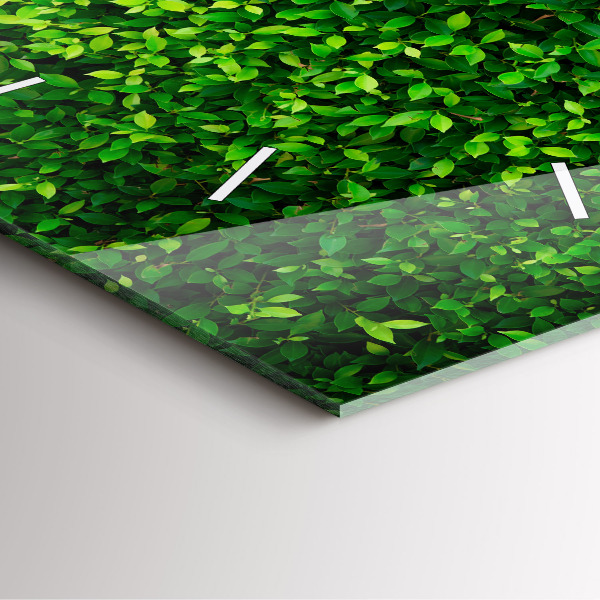 Orologio quadrato in vetro Foglie di siepe