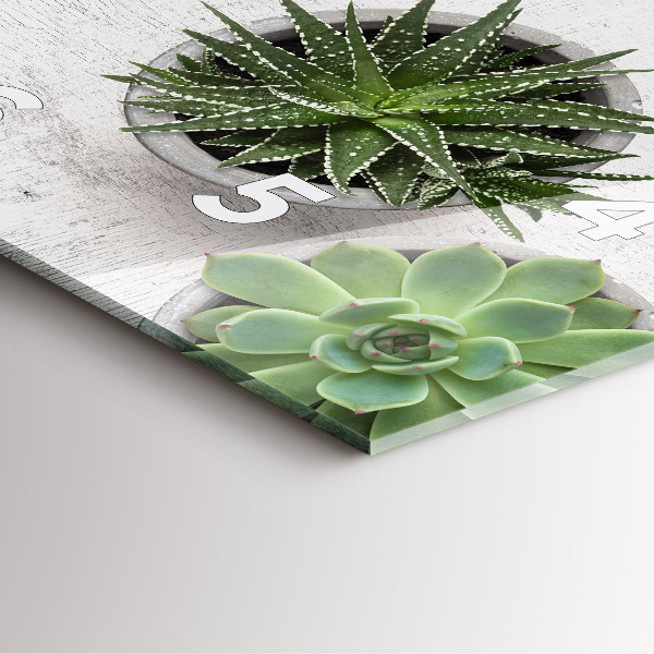 Orologio quadrato in vetro Piante ornamentali