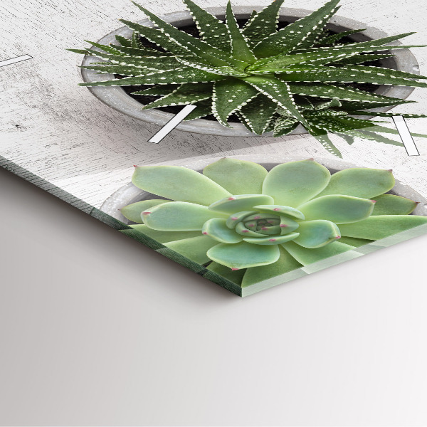 Orologio quadrato in vetro Piante ornamentali