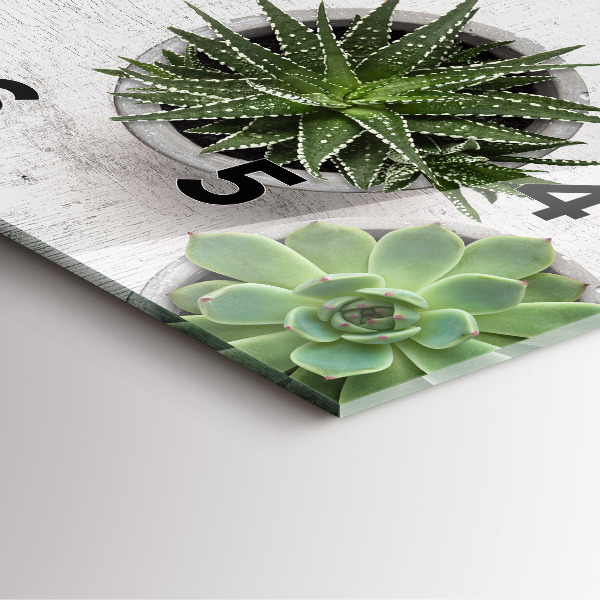 Orologio quadrato in vetro Piante ornamentali