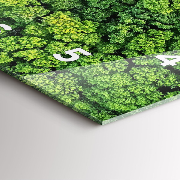 Orologio quadrato in vetro Foresta dall'alto