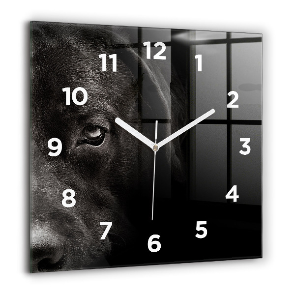 Orologio quadrato Cane e gatto Scottish Fold