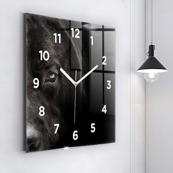 Orologio quadrato Cane e gatto Scottish Fold